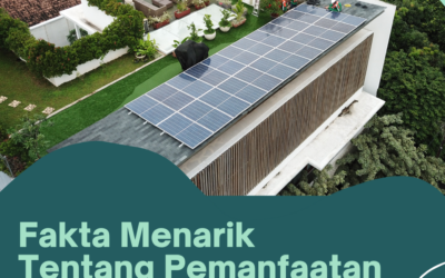 Fakta Menarik Tentang Pemanfaatan Solar Panel