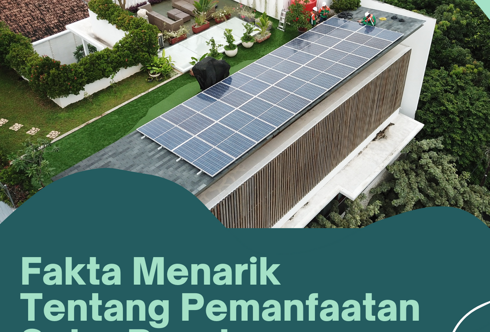 Fakta Menarik Tentang Pemanfaatan Solar Panel